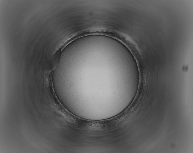 X0000090471217200708031257