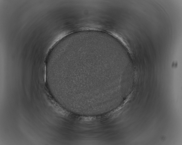 X0000090471219200708031257