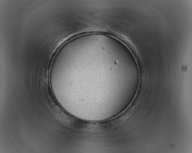 X0000090471220200708031257