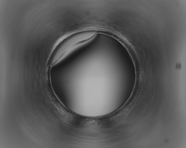 X0000090471222200708031257