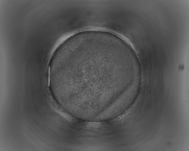 X0000090471223200708031257