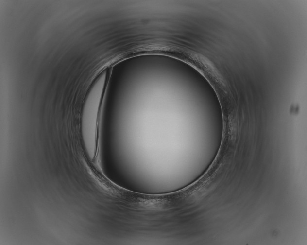 X0000090471225200708031257