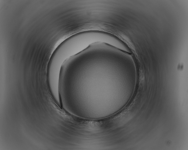 X0000090471226200708031257