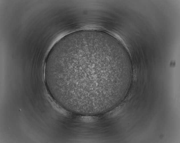 X0000090471227200708031257