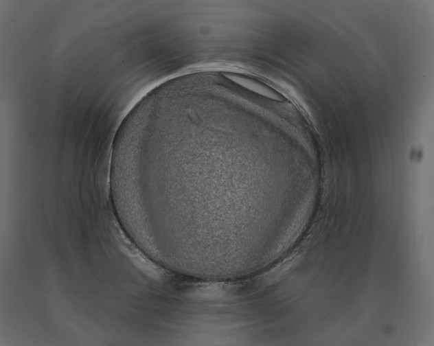 X0000090471228200708031257