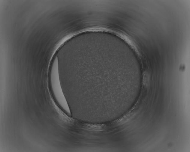 X0000090471229200708031257