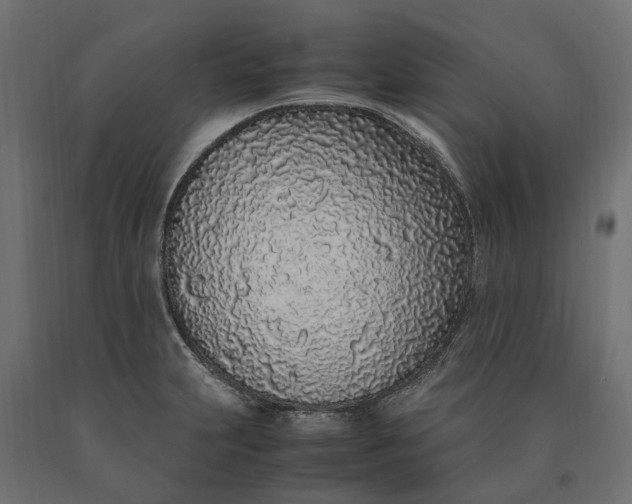 X0000090471231200708031257