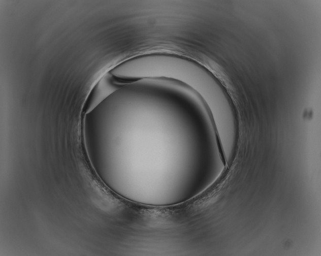 X0000090471234200708031257