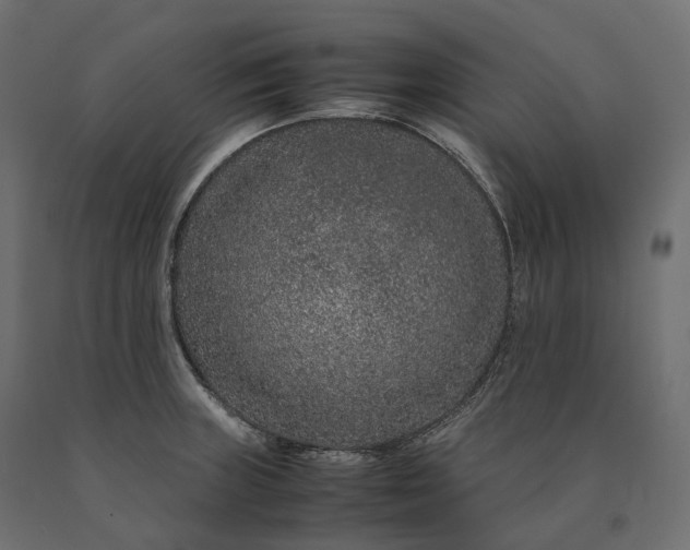 X0000090471235200708031257