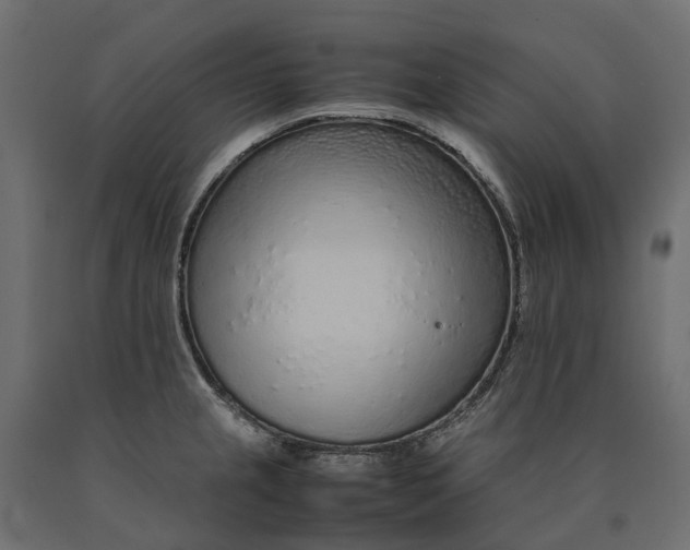 X0000090471237200708031257