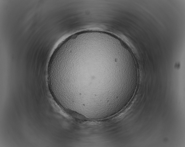 X0000090471240200708031257