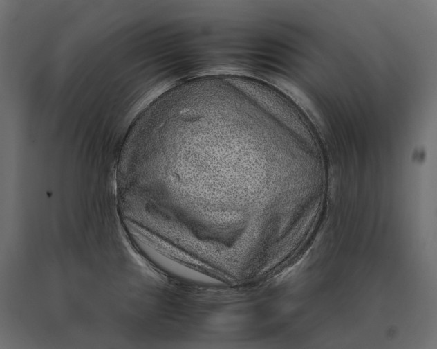 X0000090471241200708031257