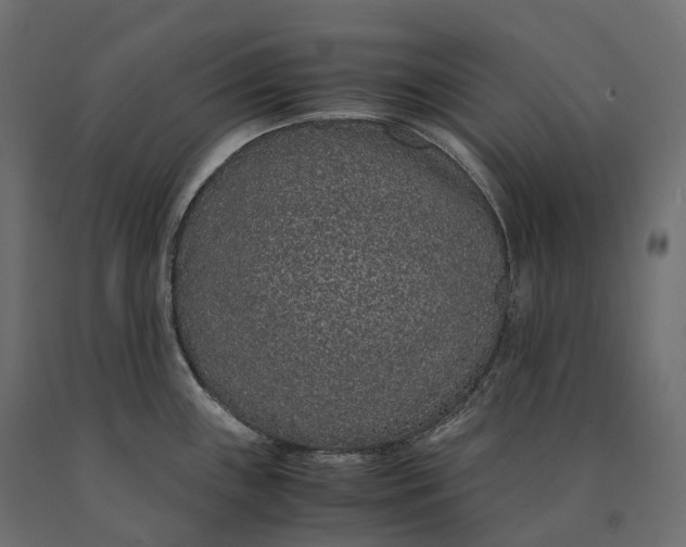 X0000090471243200708031257