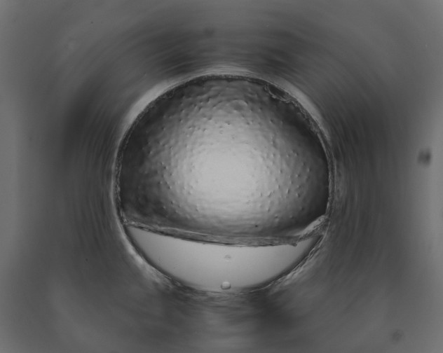 X0000090471245200708031258