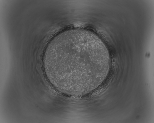 X0000090471249200708031257