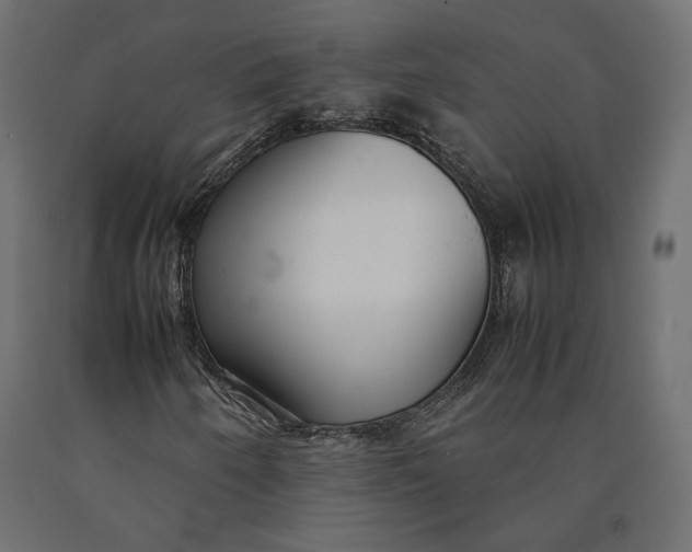 X0000090471250200708031257