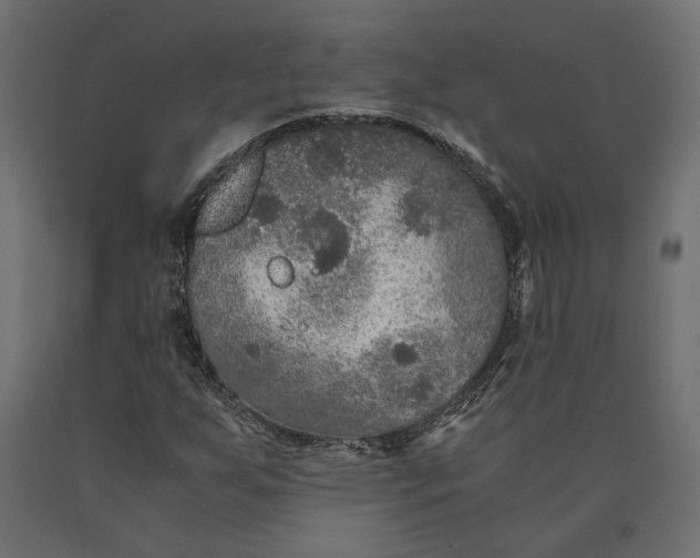 X0000090471255200708031257