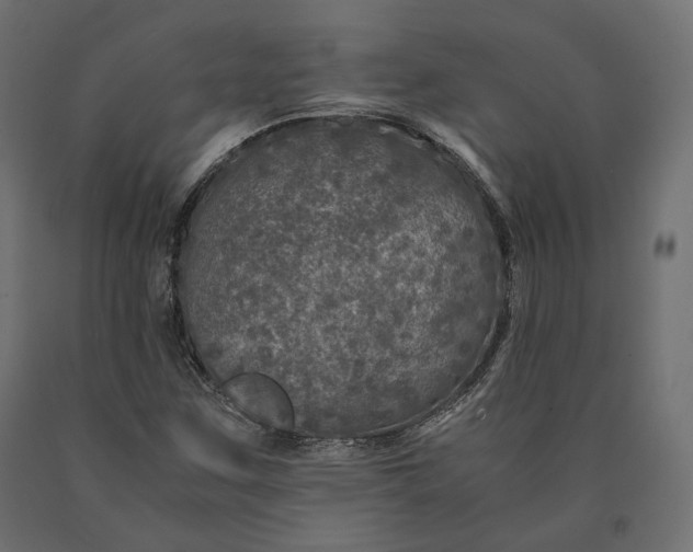 X0000090471259200708031257