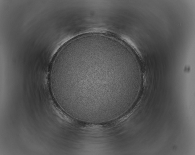 X0000090471260200708031257