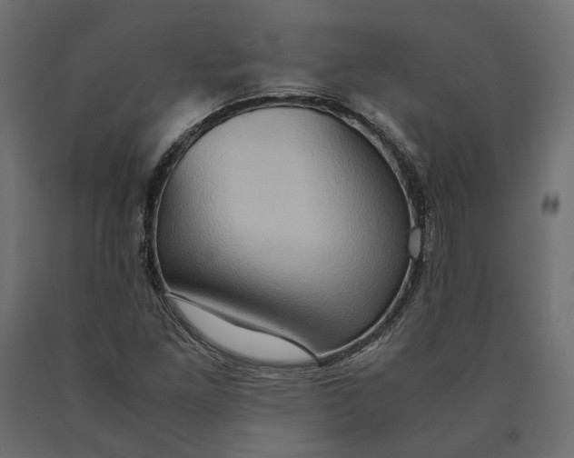 X0000090471261200708031257