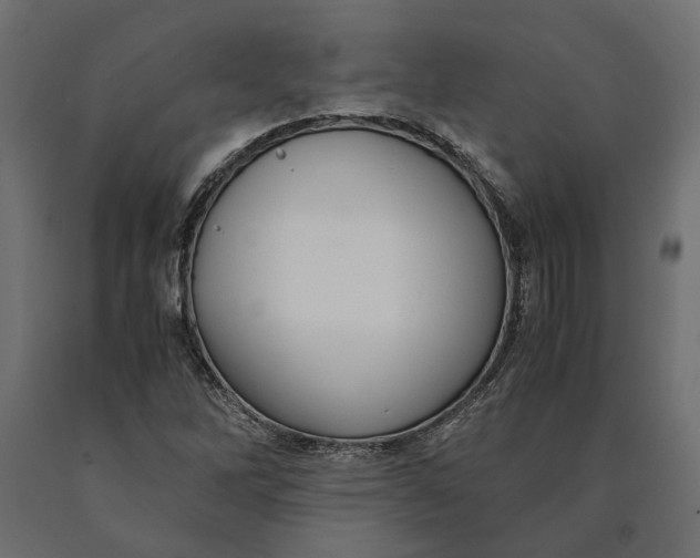 X0000090471262200708031257