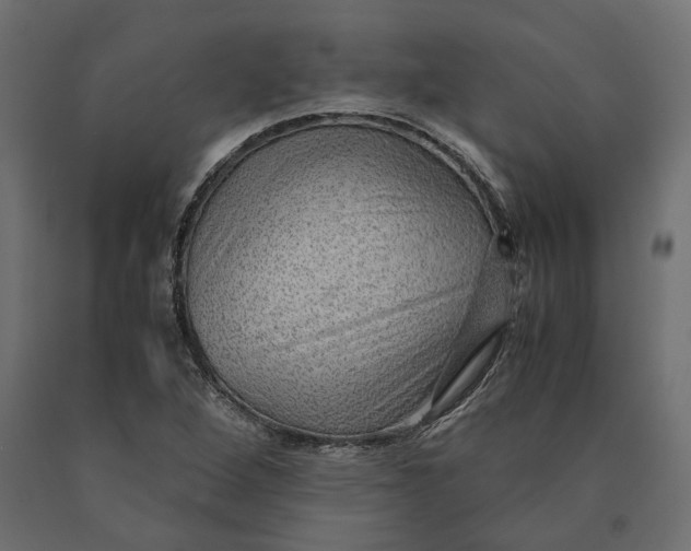 X0000090471264200708031257