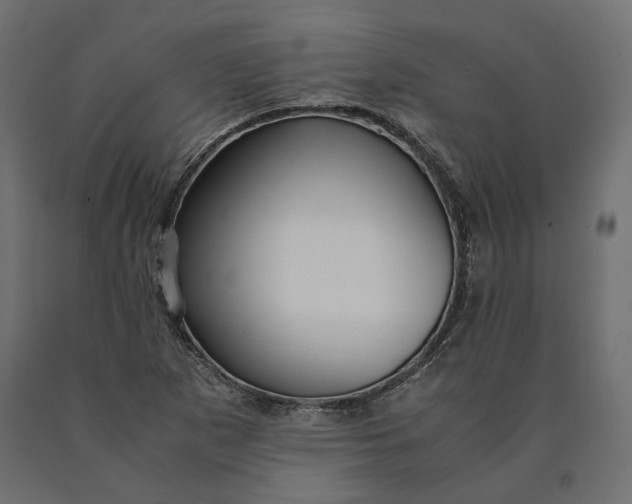 X0000090471265200708031256