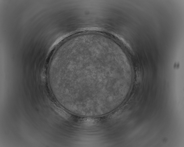 X0000090471266200708031256