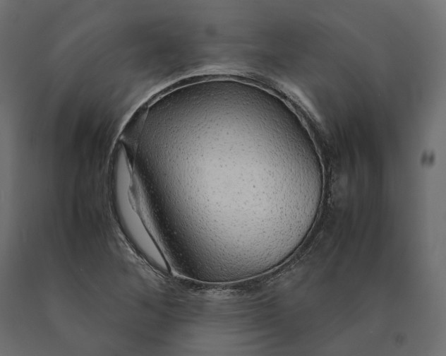 X0000090471268200708031256