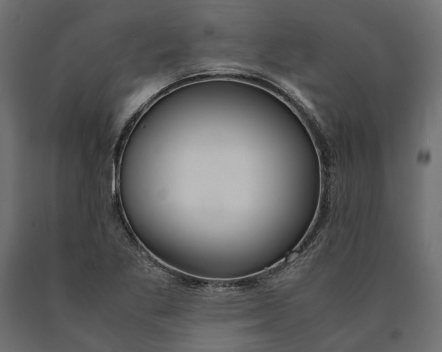 X0000090471269200708031256