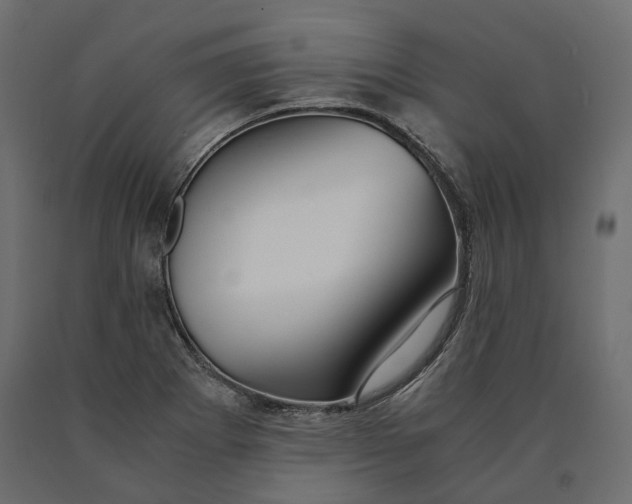 X0000090471273200708031256