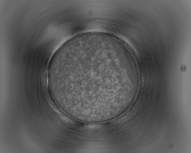 X0000090471274200708031256