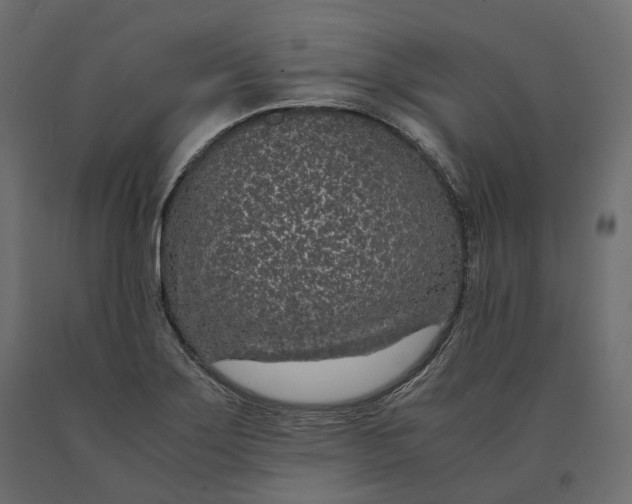 X0000090471275200708031256