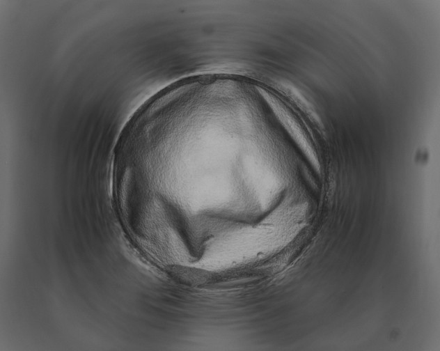 X0000090471276200708031256