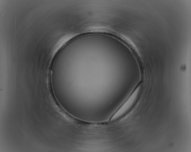 X0000090471277200708031256