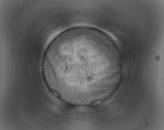 X0000090471279200708031256