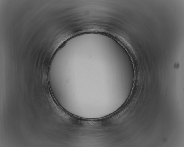 X0000090471281200708031256