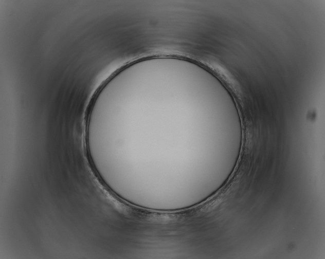 X0000090471286200708031256