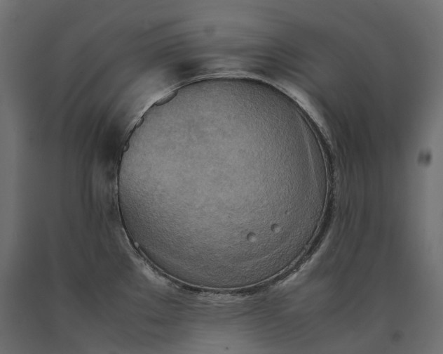 X0000090471289200708031256