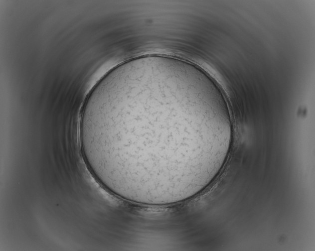 X0000090471290200708031256