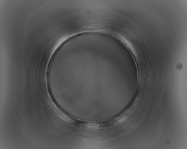 X0000090471291200708031256