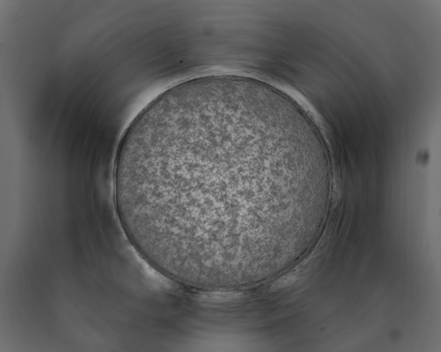 X0000090471294200708031256