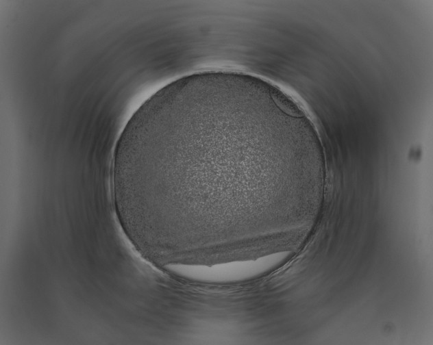 X0000090471295200708031256