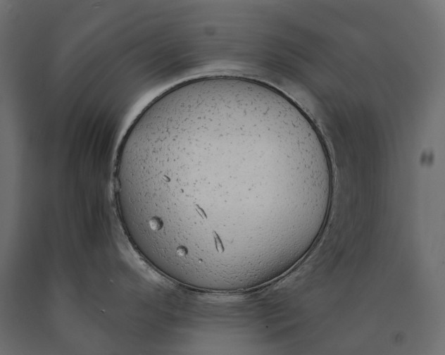 X0000090471296200708031256