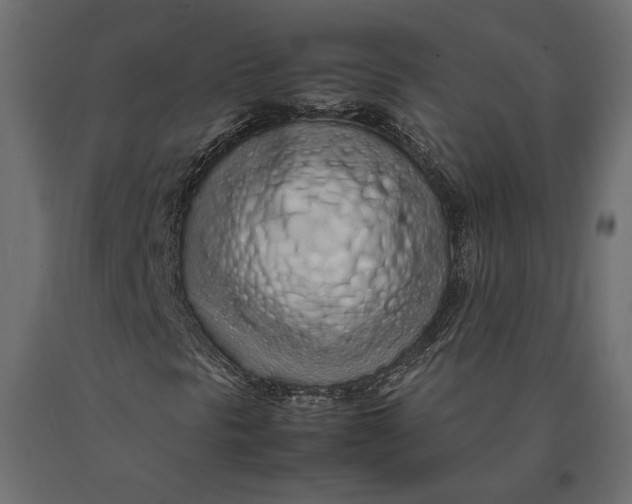 X0000090471297200708031255