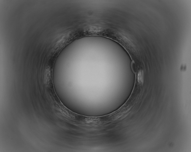 X0000090471299200708031255