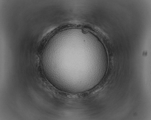 X0000090471302200708031255