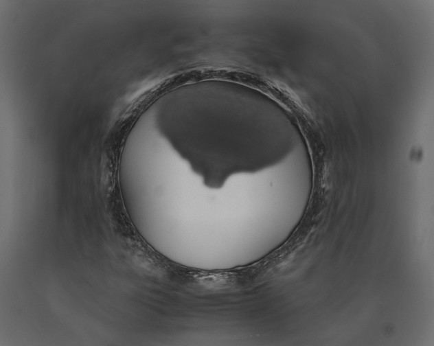 X0000090471303200708031255