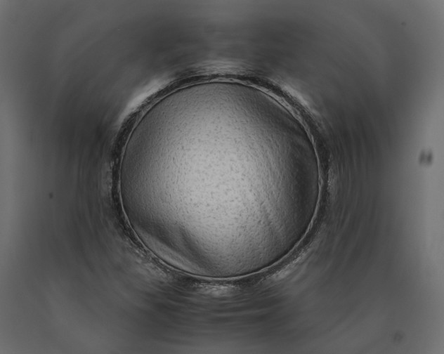 X0000090471309200708031255