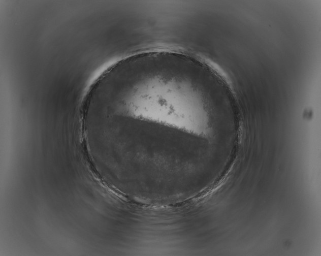 X0000090471310200708031255